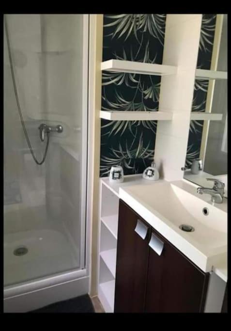 Mobil Home 4-6 Personnes Bord De Mer Argeles Sur Mer Camping Equinoxe エクステリア 写真